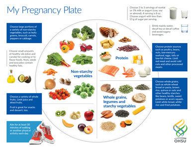 My pregnancy plate - DOWNLOAD ONLY